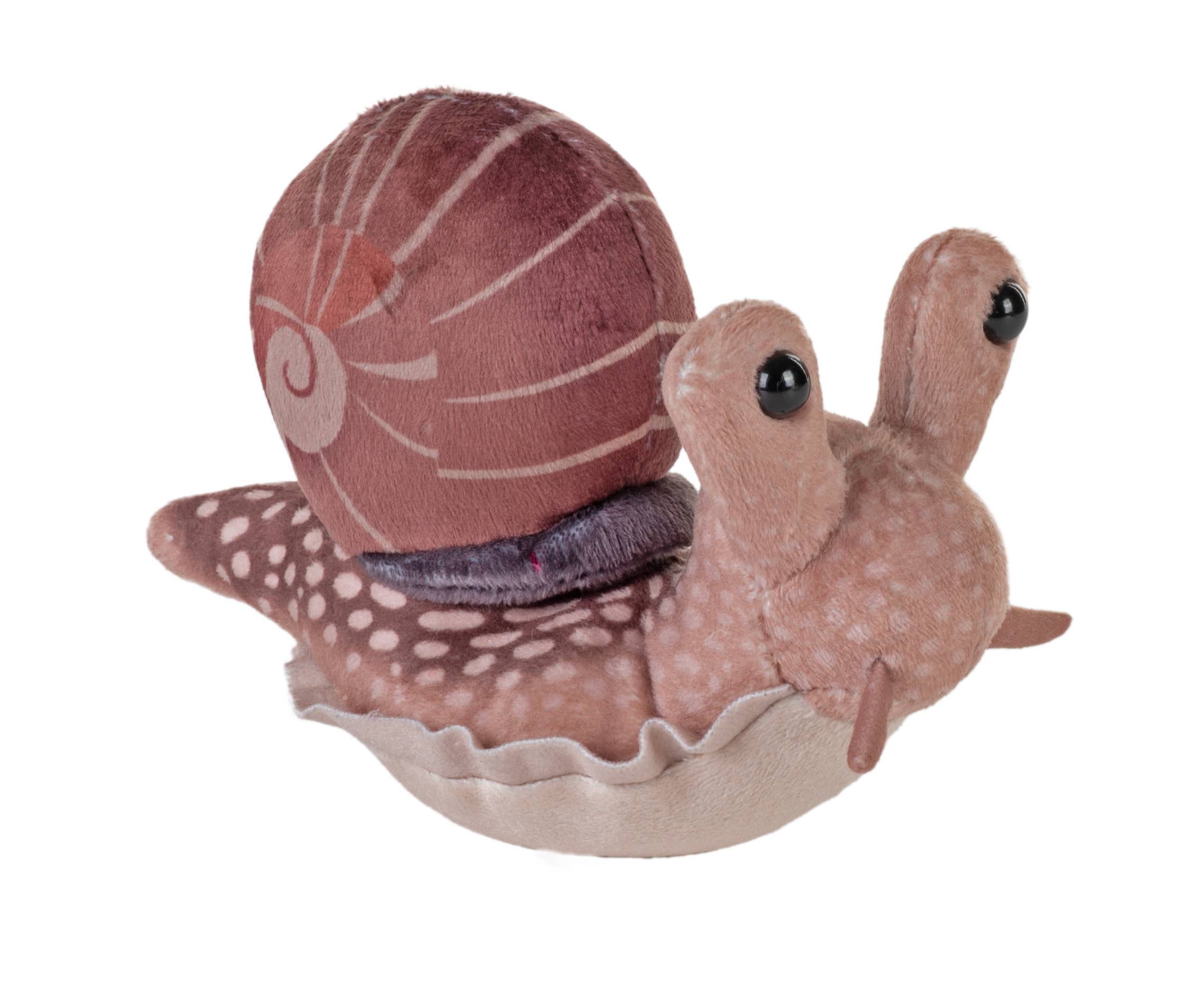 Pocketkins Snail