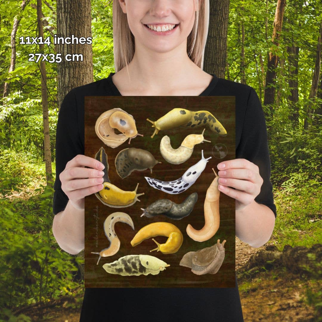 A Dozen Banana Slugs Poster - Art Print (Multiple Sizes): 11x14
