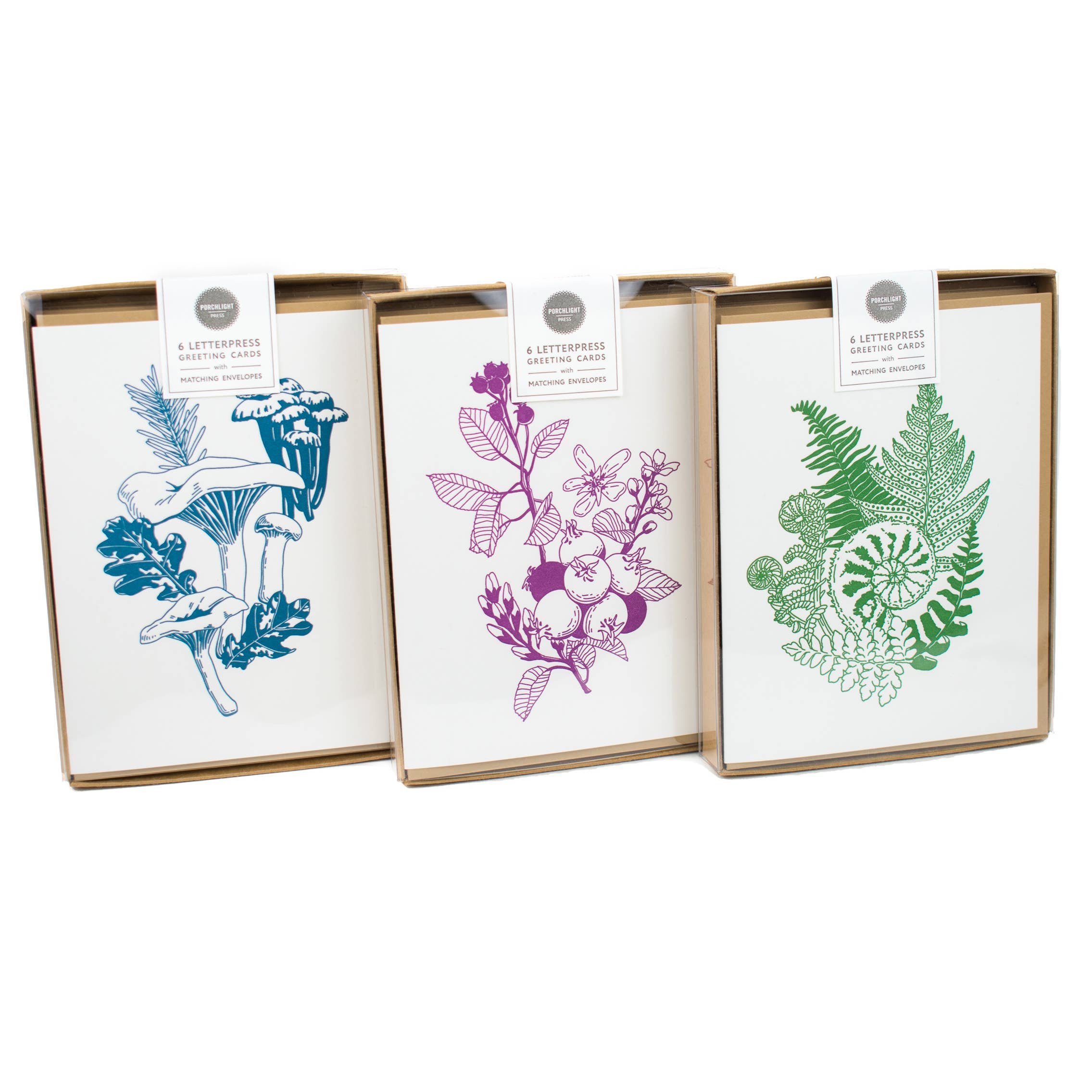 Forest Foraging Series - Fern No message: SIngle Card