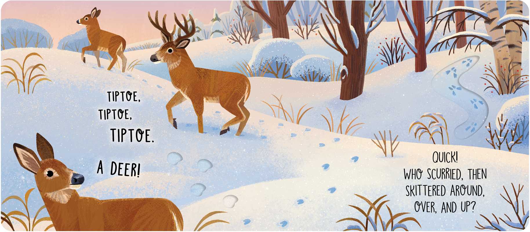 Whose Prints? by Kari Allen: Board Books; 20 pages / English