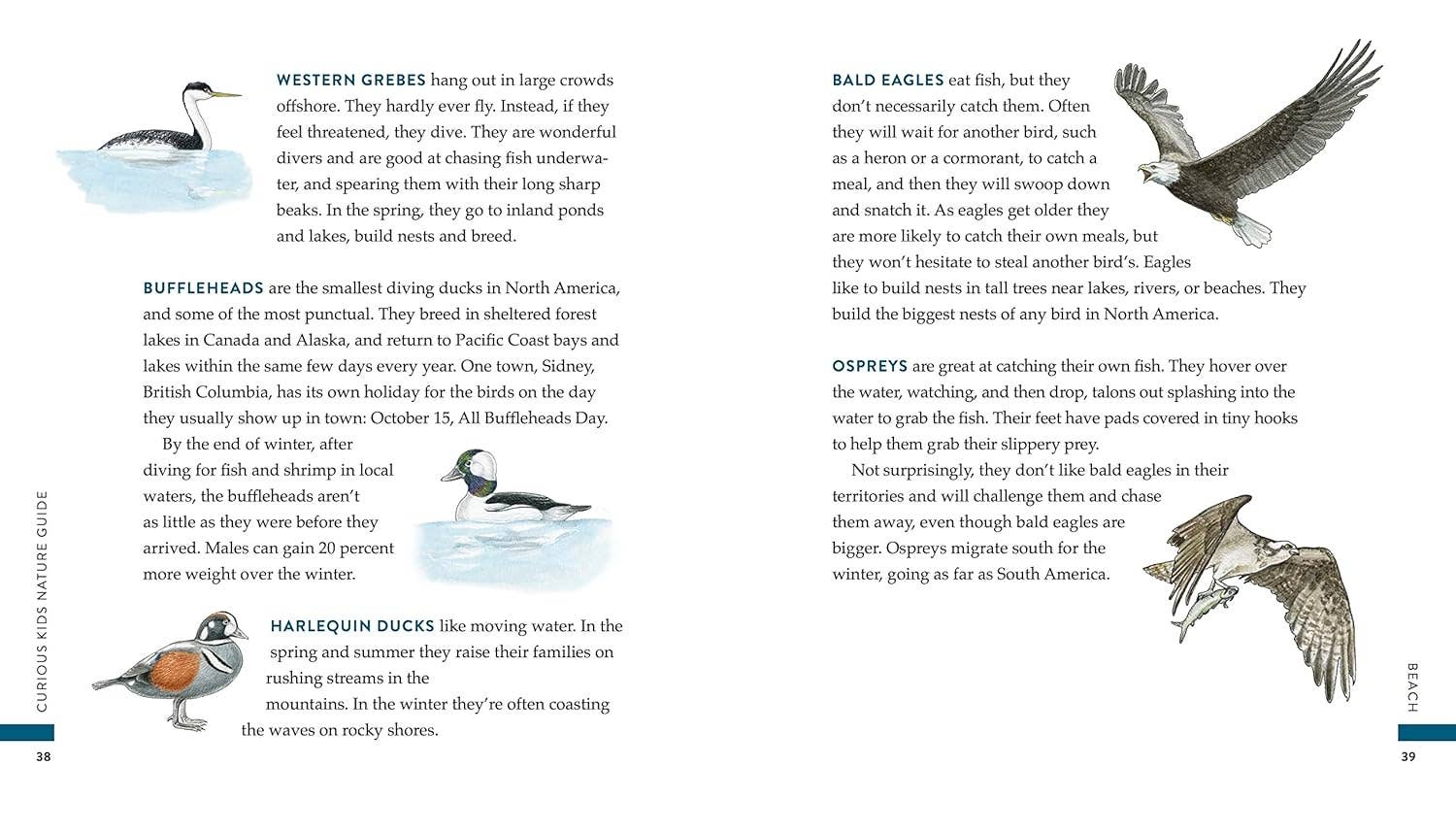 Curious Kids Nature Journal (Explore the Pacific Northwest)