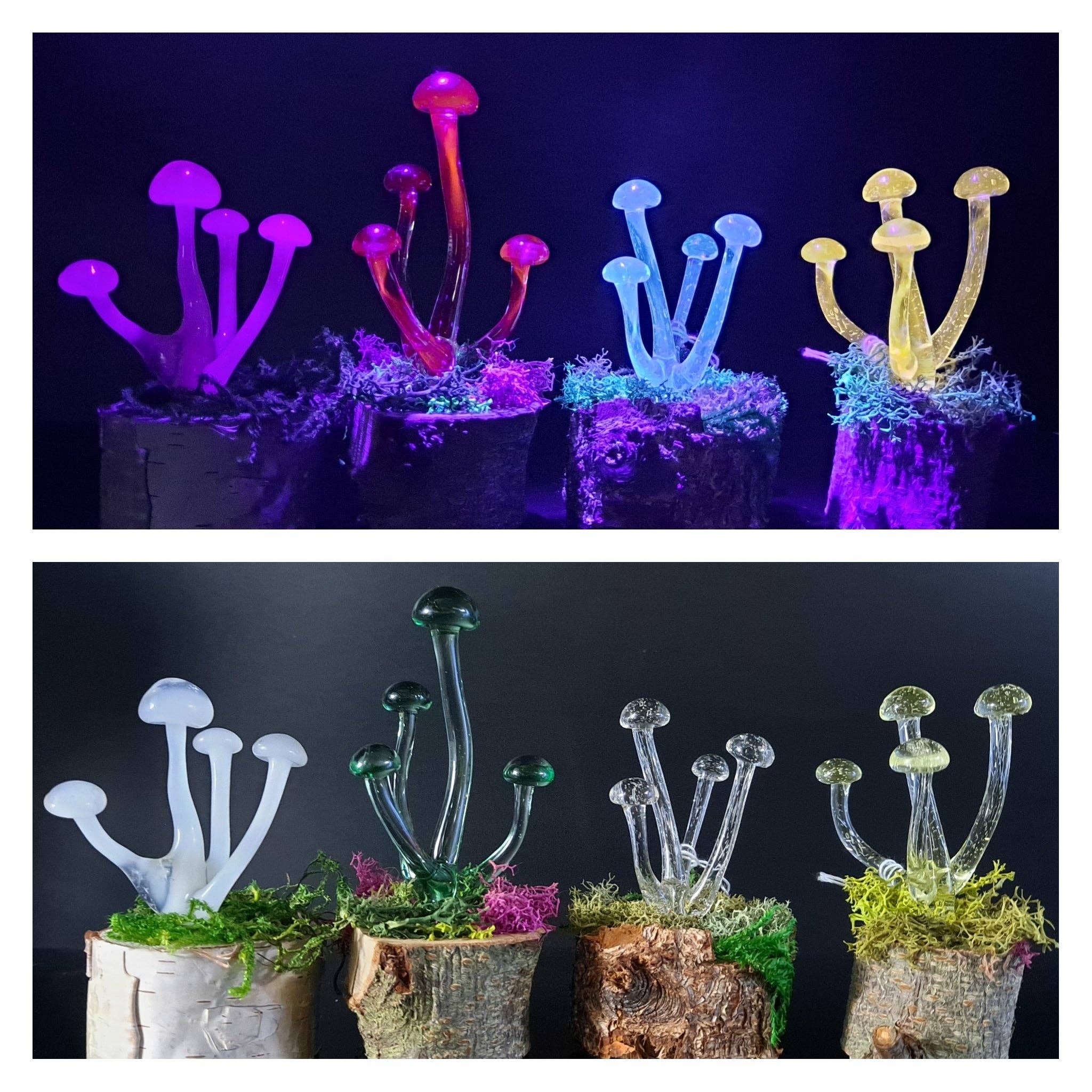 Mushroom Sculpture, UV Black Light, Made to Order: Atomic stardust