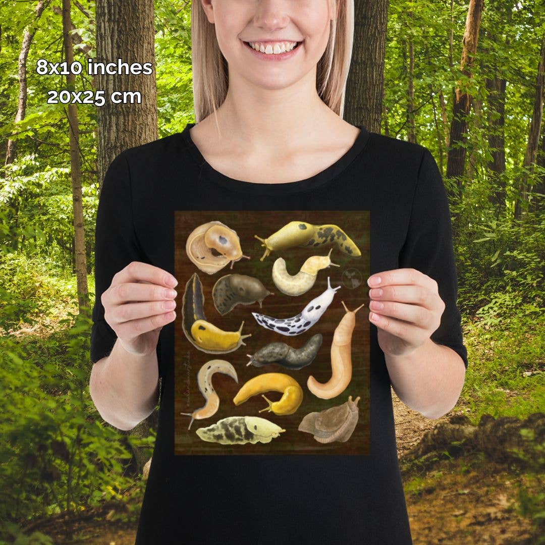A Dozen Banana Slugs Poster - Art Print (Multiple Sizes): 8x10
