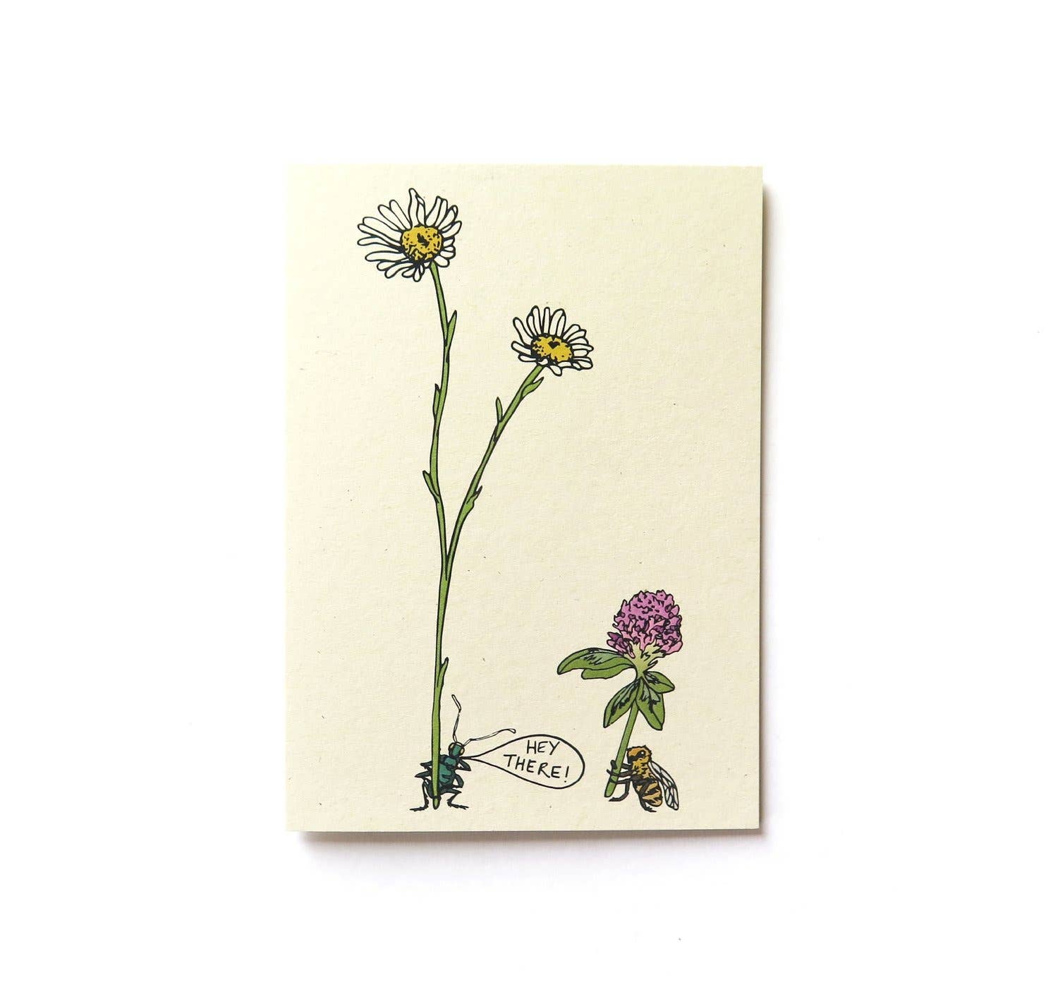 Little Bugs Cards - Green Bug and Honey Bee