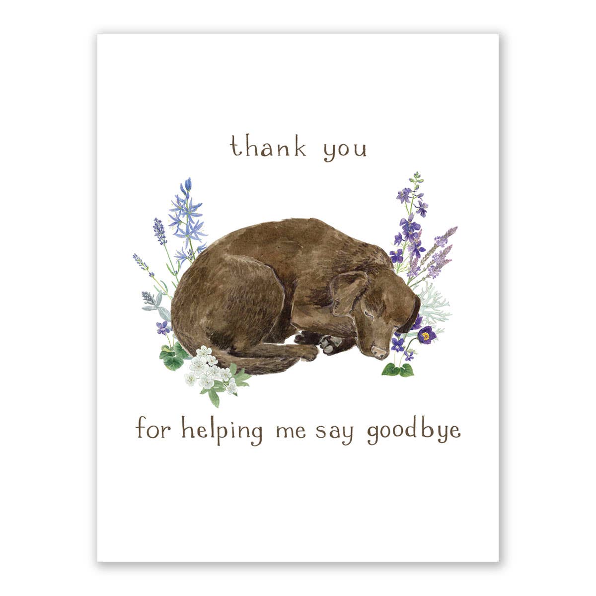 Dog Vet Appreciation Card - Pet Sympathy Card - Pet Loss