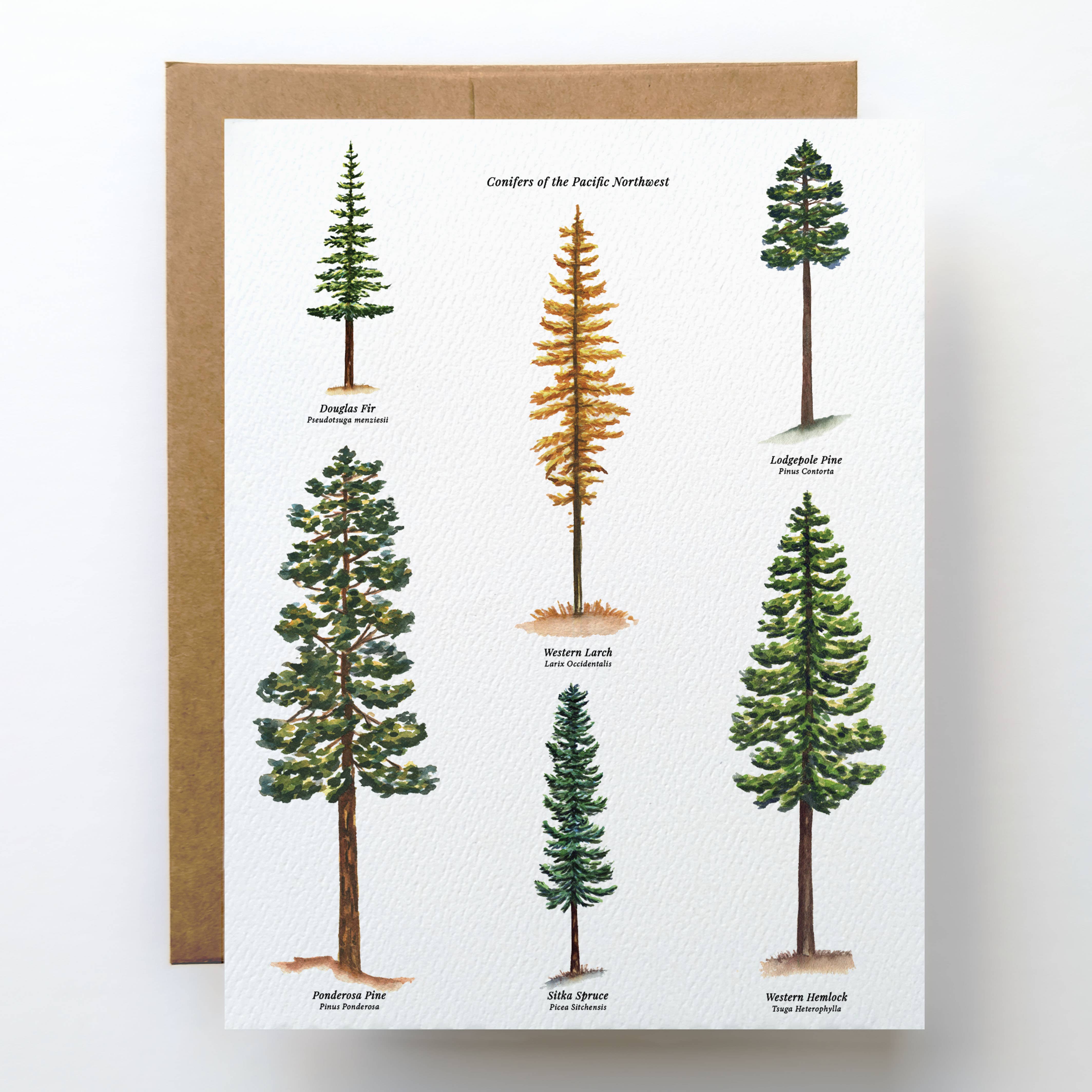 Tree Card PNW