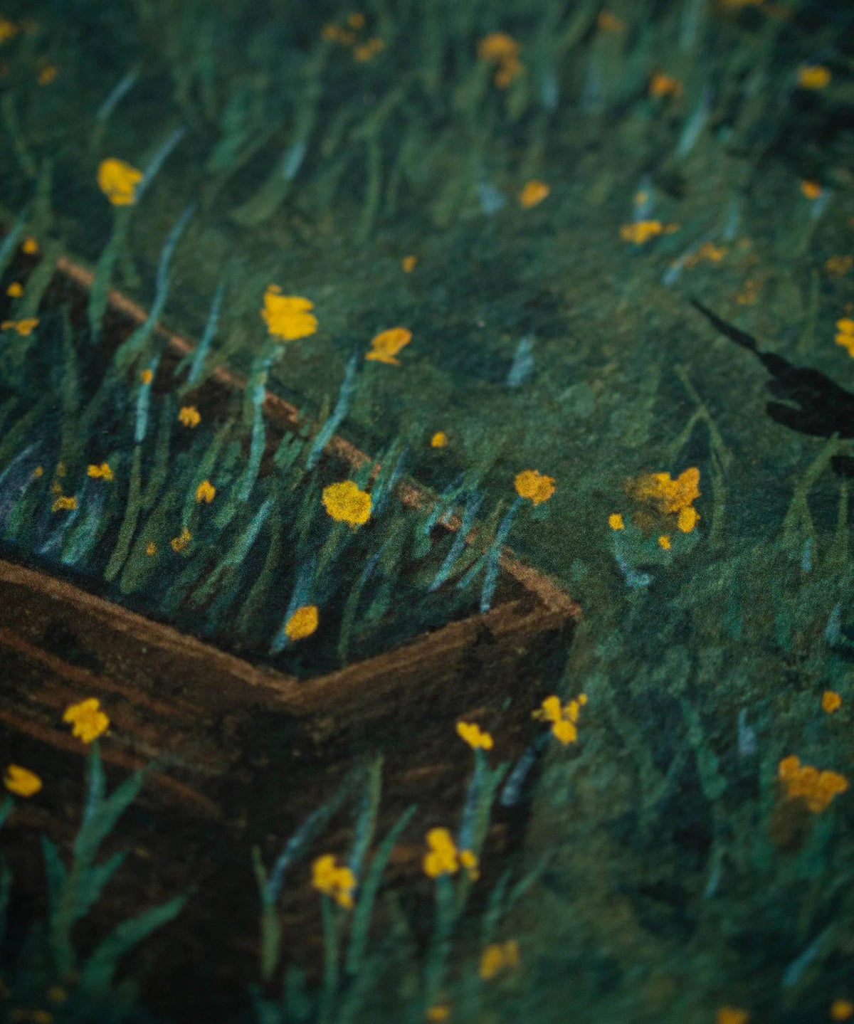 "Awakening" | Fine Art Print