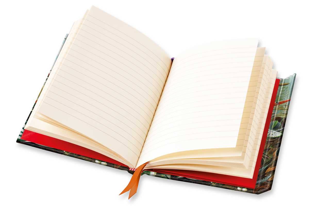 Ernst Haeckel: Hummingbirds (Foiled Journal) by: Notebook / blank book; 176 pages / English