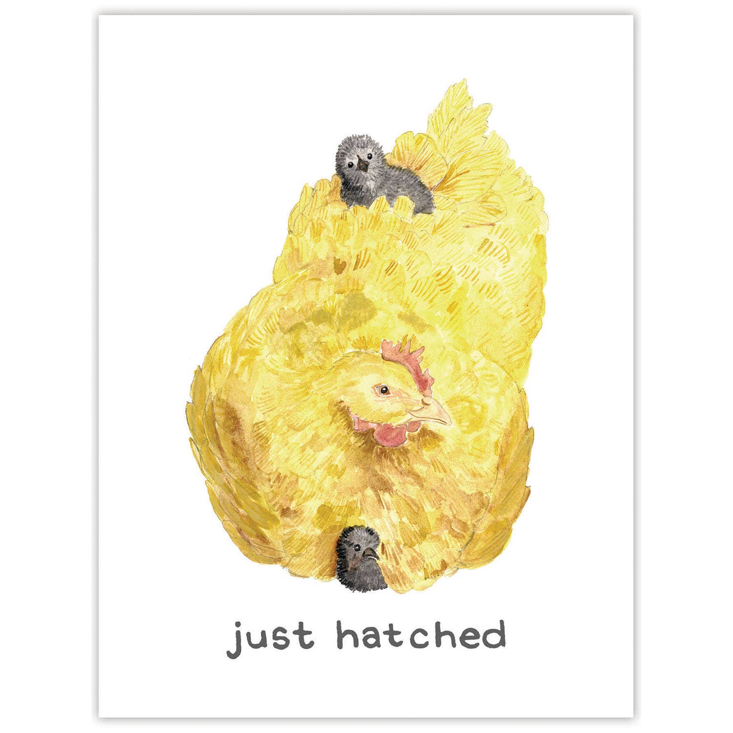 Just Hatched - New Baby Card - New Mom Greeting Card
