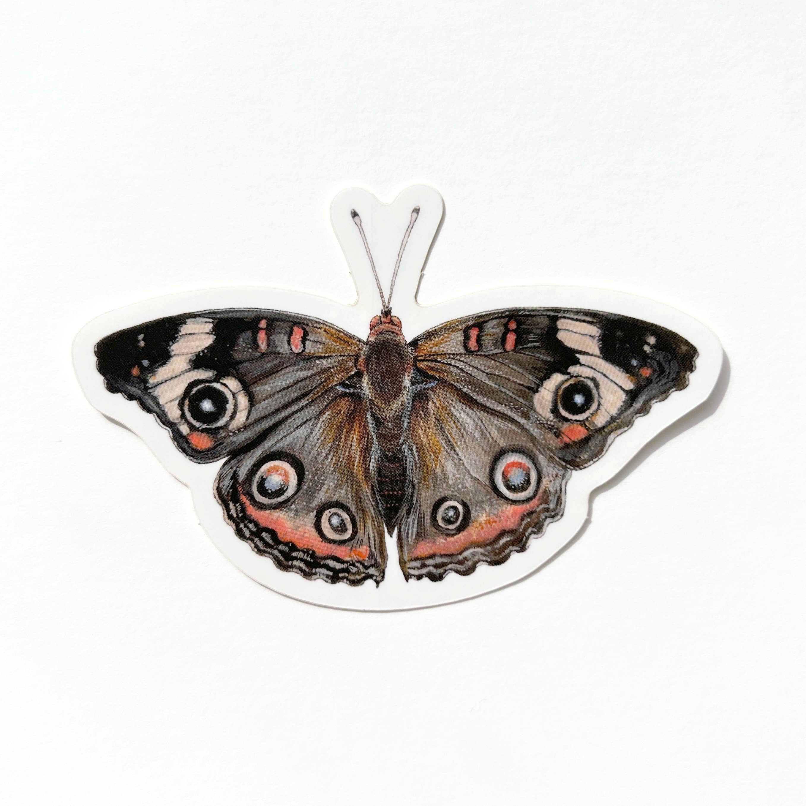 Butterfly Sticker