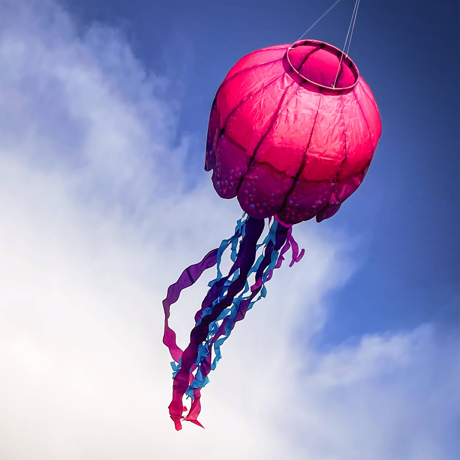 Jellyfish Big Breeze Windsock™