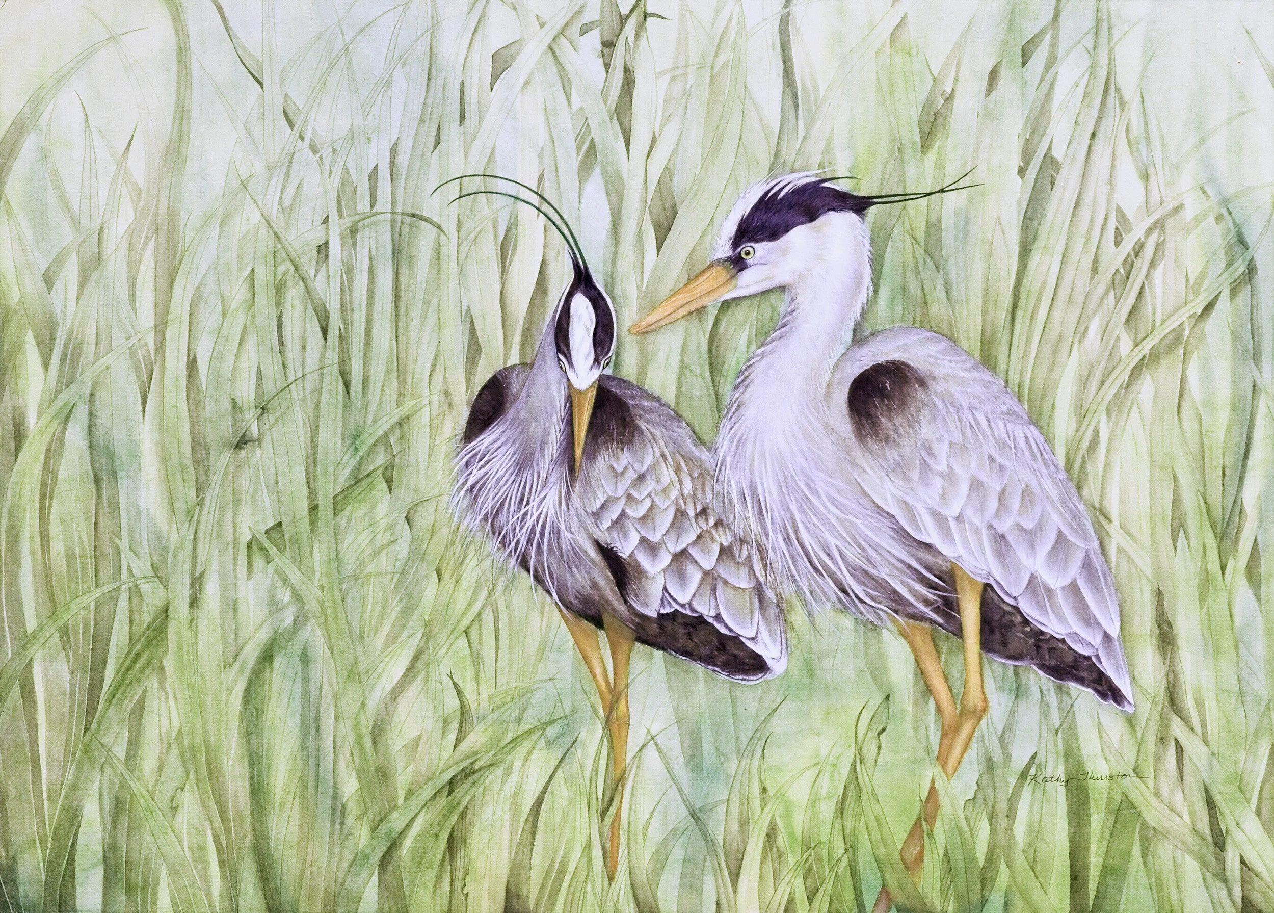 Heron Card