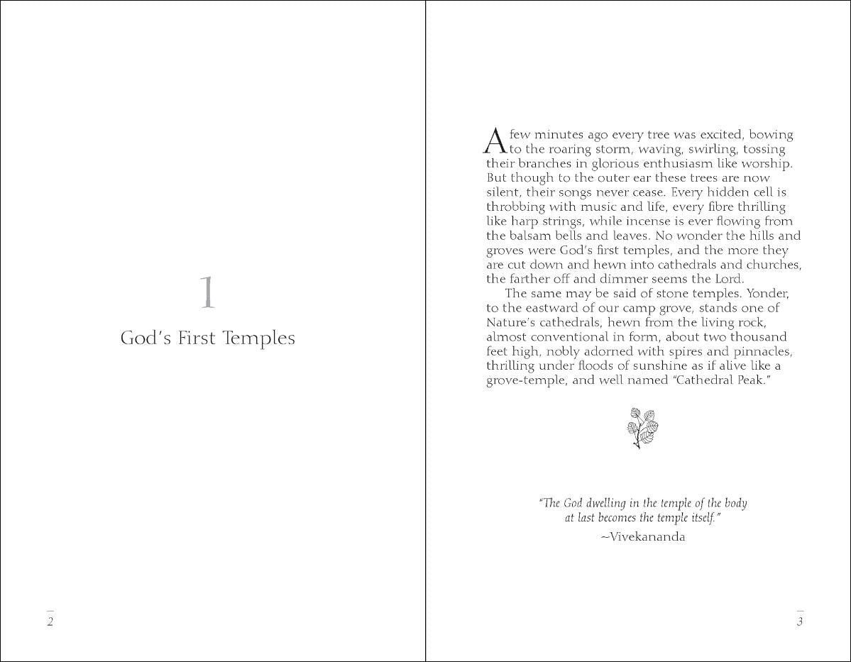 Meditations of John Muir