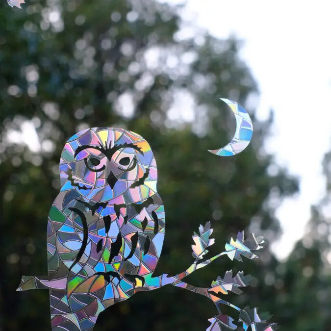 Saw-Whet Owl Window Decals - Prism Suncatchers - Save Birds