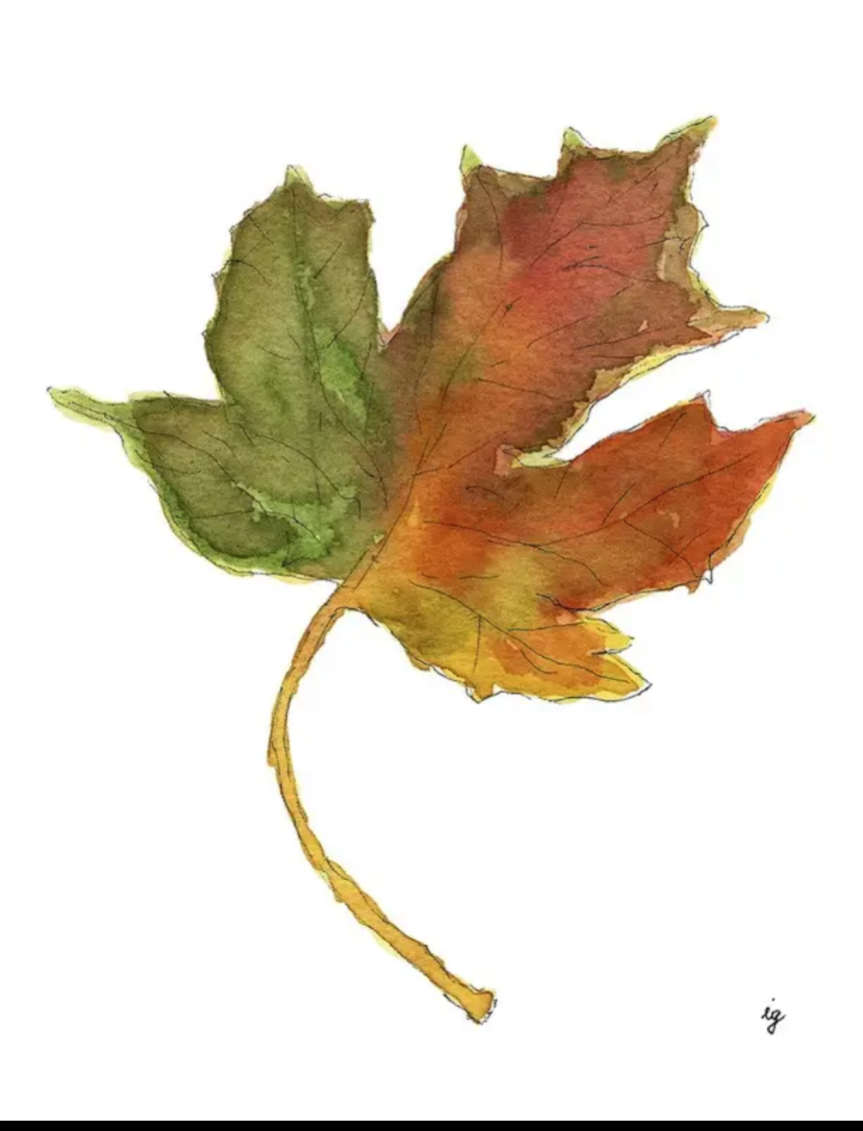 Autumn Leaf  Greeting Card