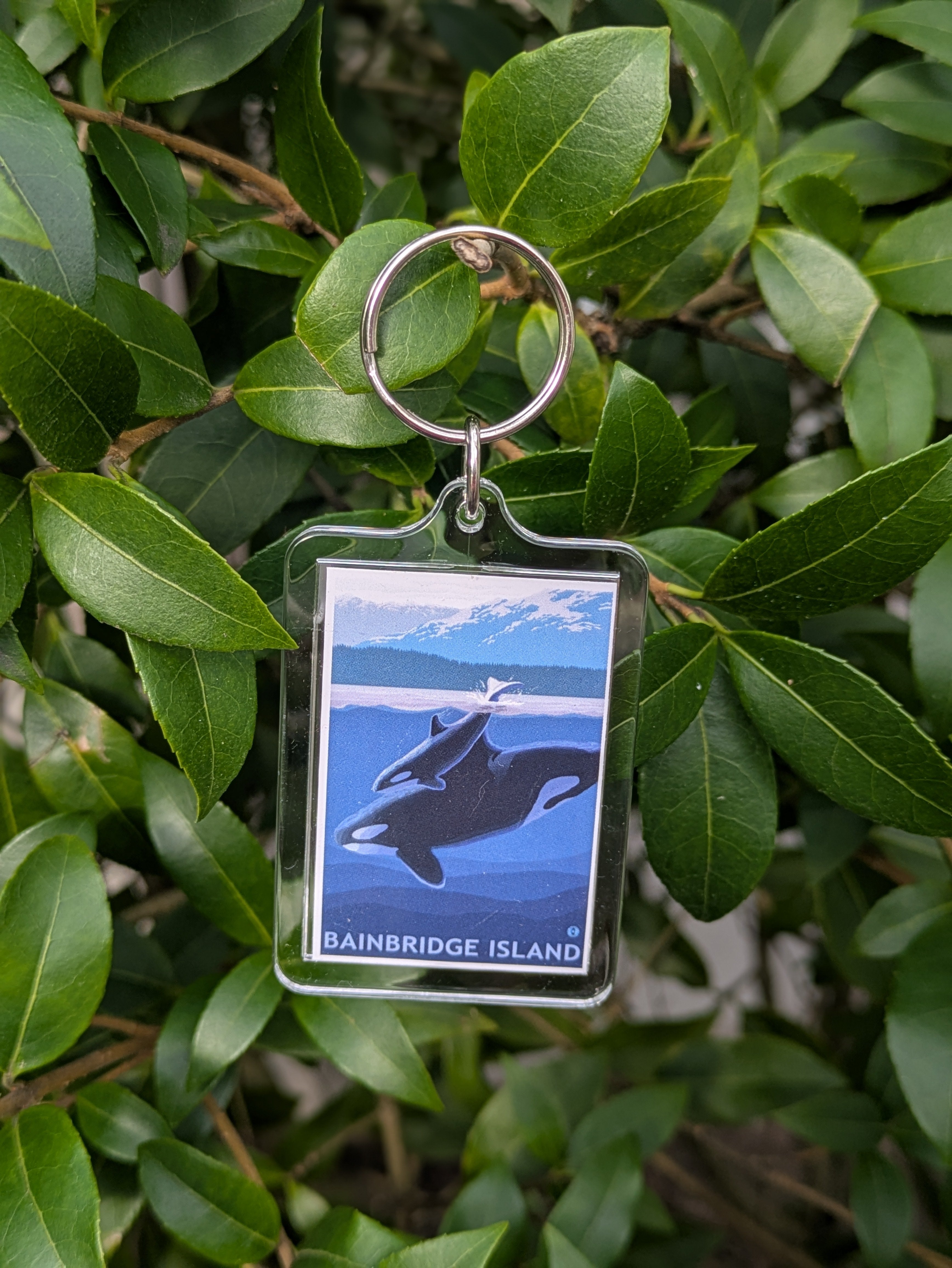 Bainbridge Island Magnets & Keychains
