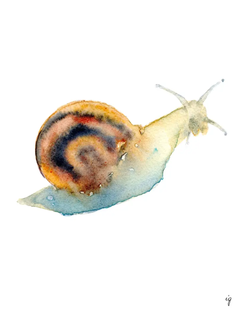 Snail Greeting Card