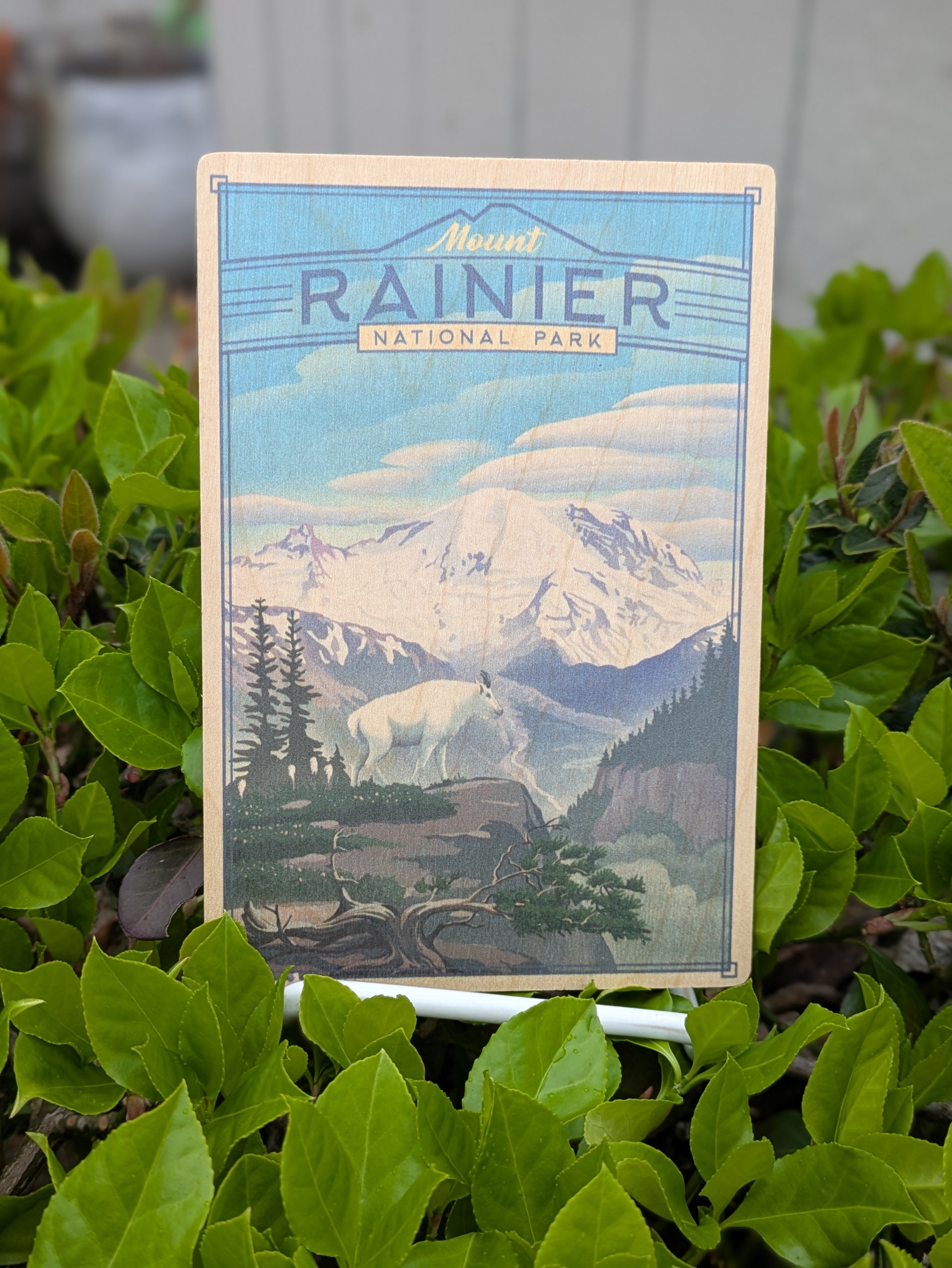 Bainbridge Island Magnets & Keychains