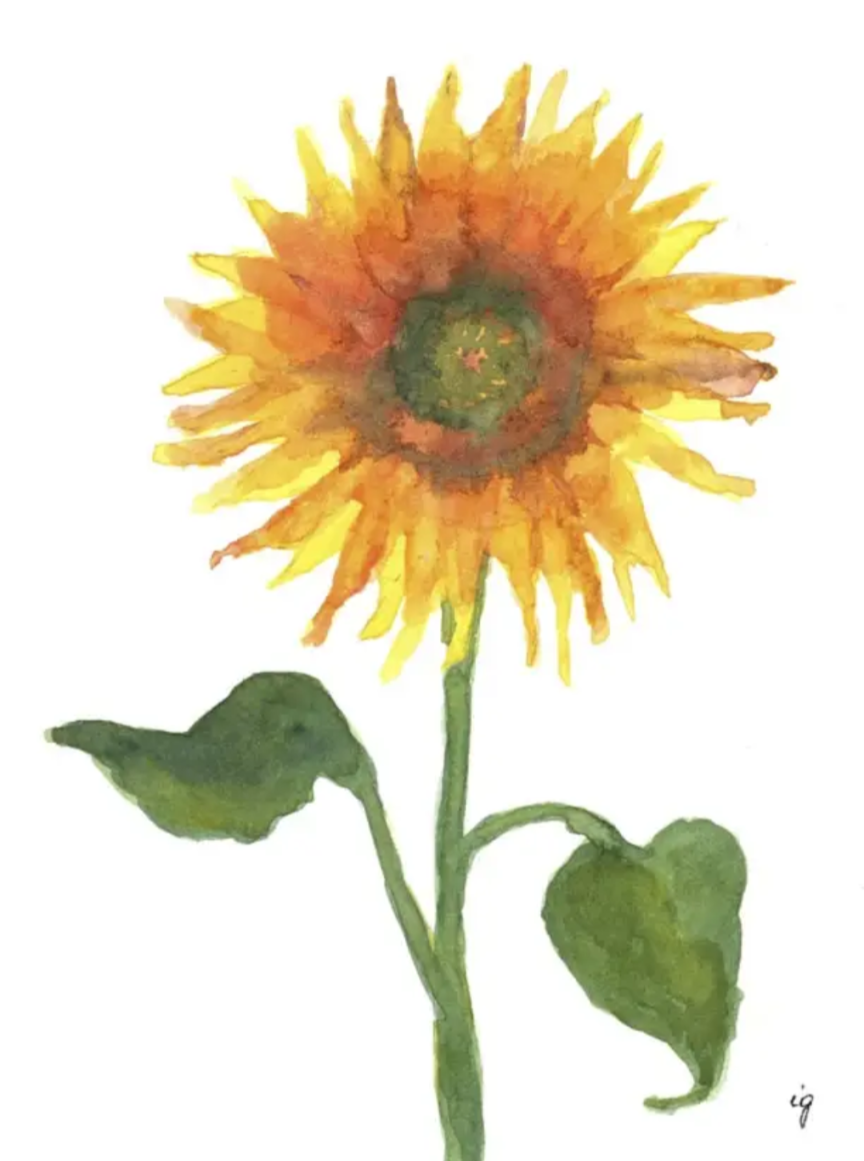 Sunflower  Greeting Card
