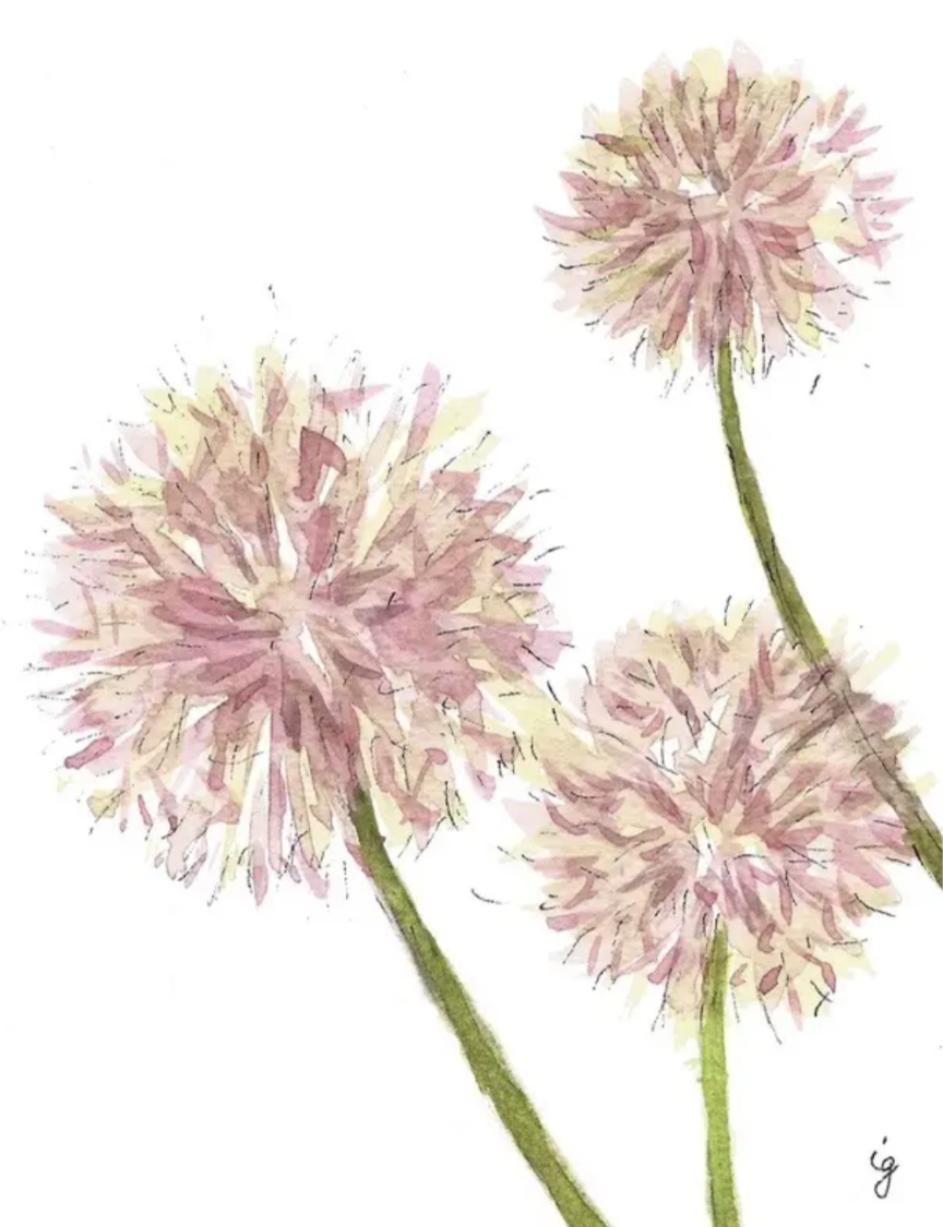 Dandelion Greeting Card