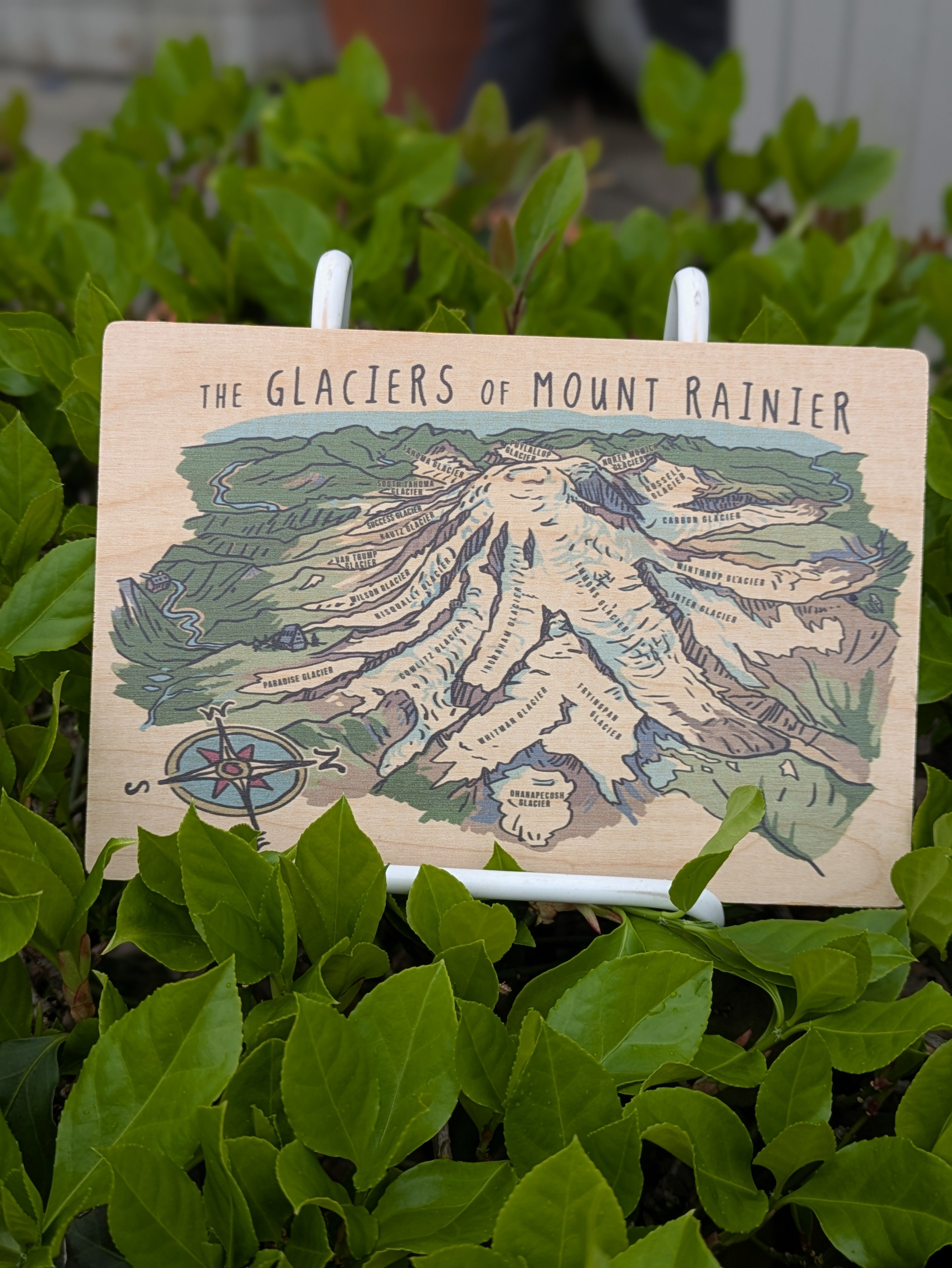 Bainbridge Island Magnets & Keychains