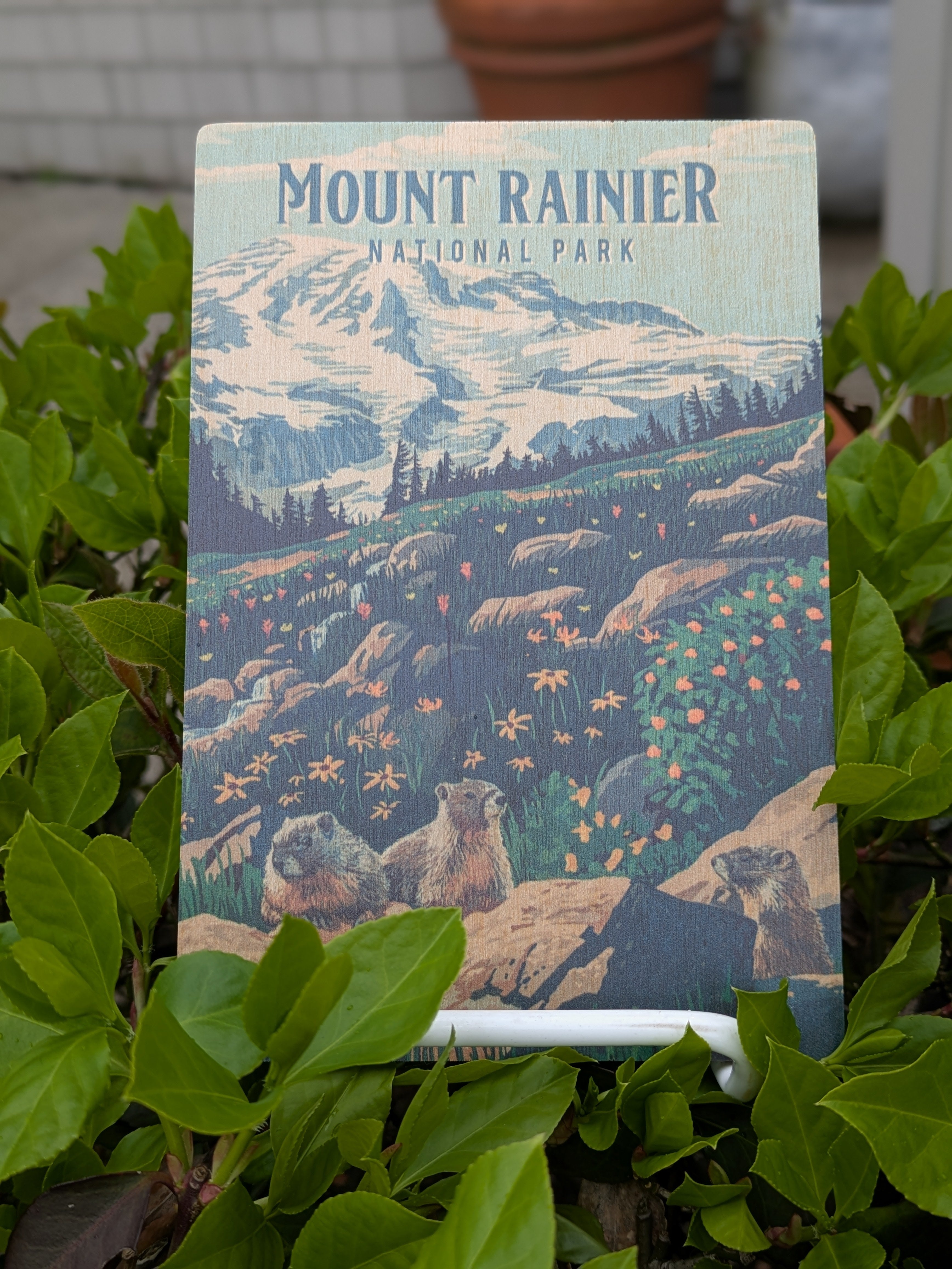 Bainbridge Island Magnets & Keychains
