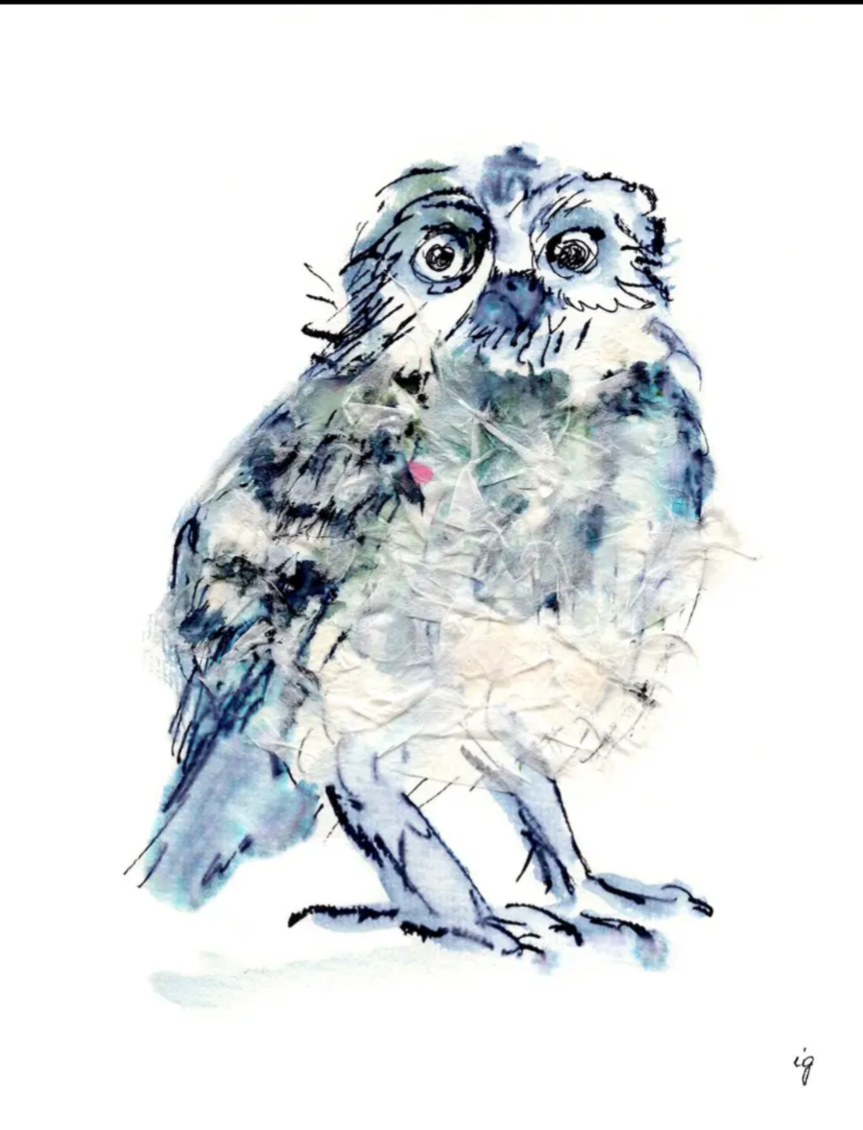 Baby Owl Greeting Card