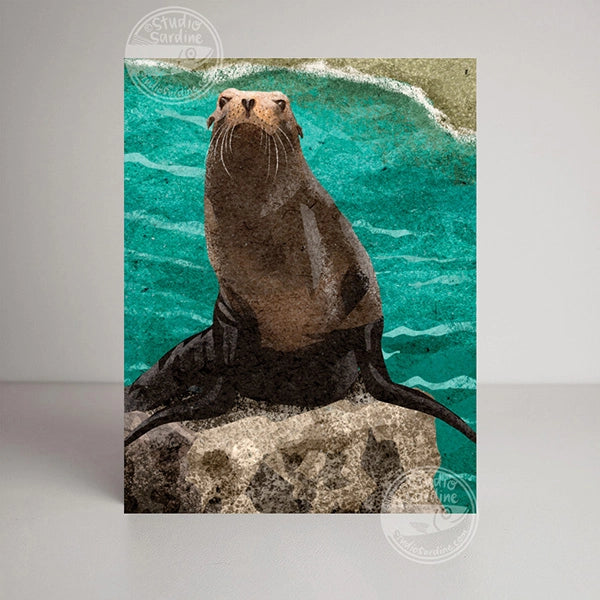 Sea Lions Blank Greeting Card
