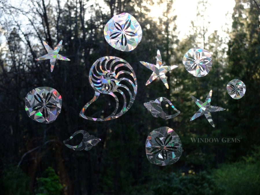 Seashell Window Decals - Prismatic Bird Strike Prevention