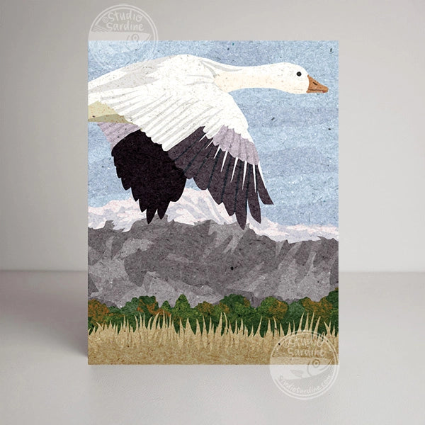Snow Geese Blank Greeting Card