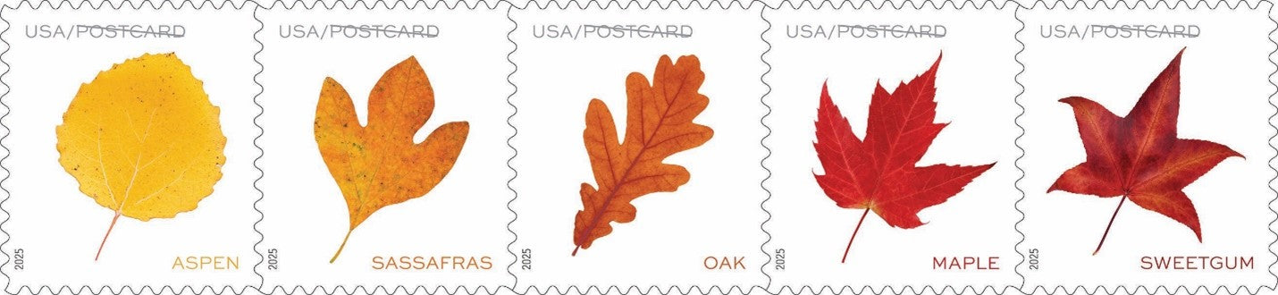 First Class Stamp
