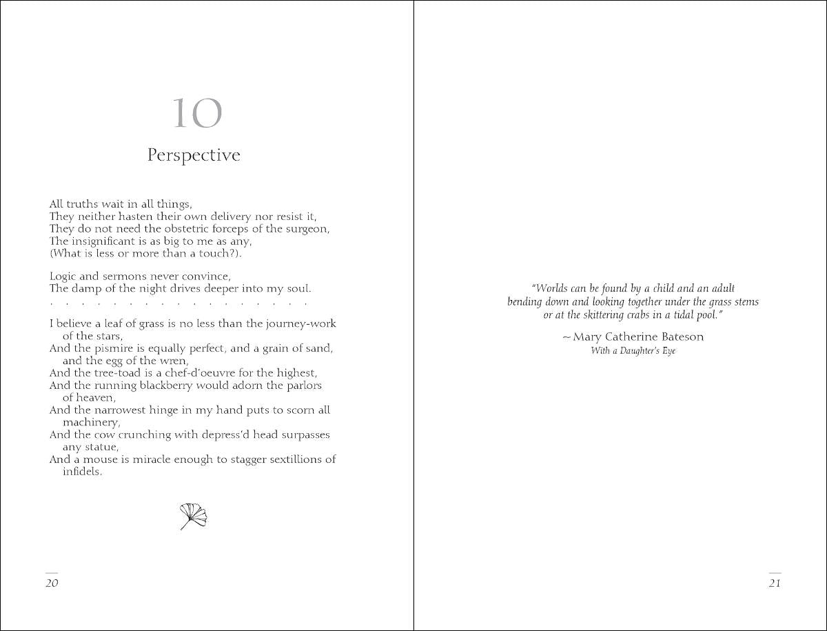 Meditations of Walt Whitman