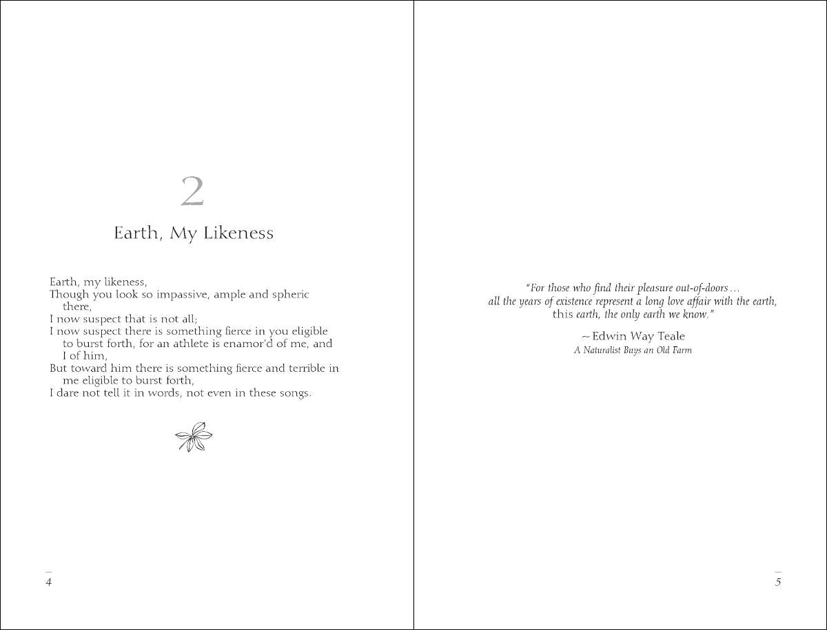 Meditations of Walt Whitman
