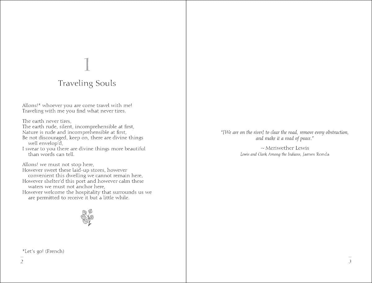 Meditations of Walt Whitman