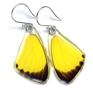 Grass Yellow Butterfly Earrings