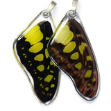 Graphium Tyndereus Green Malachite Butterfly Earrings