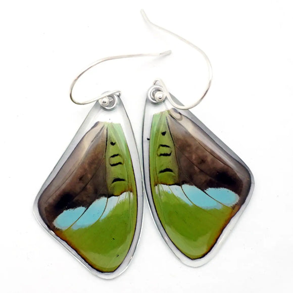 Nesseae Hewitsonii Butterfly Earrings