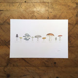 12" x 18" A Few Mushrooms Letterpress Print