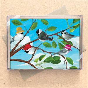Birds Mini Boxed Cards