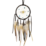 Vision Seeker Dream Catchers