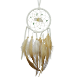 Vision Seeker Dream Catchers