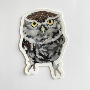 Little Owl Card Sticker