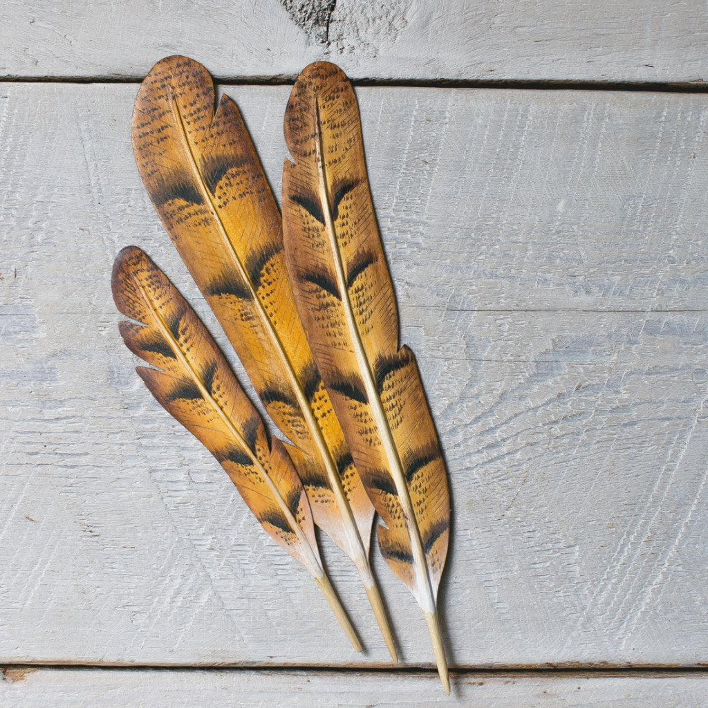 Barn Owl Painted Feathers