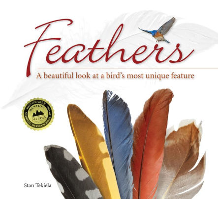 Feathers by Stan Tekiela