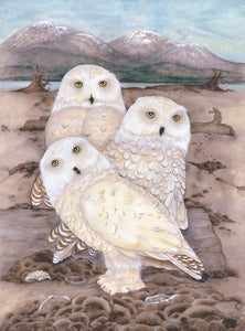 A Parliament of Snowy Owls
