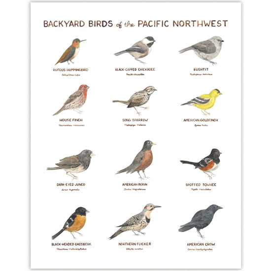 Backyard Birds of the Pacific Northwest Art Print