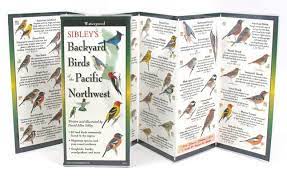 Sibley's Backyard Birds of the Pacific Northwest