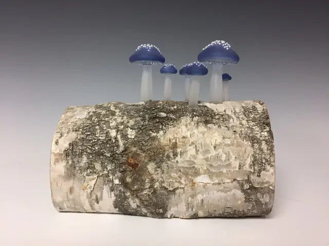 Birch Log Mushroom Lamp