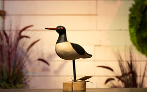 Oystercatcher Hand Carved Decoy