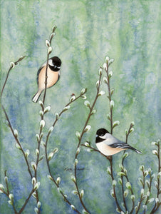 Black Capped Chickadees Among Pussywillows